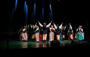Występ Zespołu Pieśni i Tańca JUBILAT ze Świdnickiego Ośrodka Kultury (3)