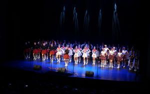 Występ Zespołu Pieśni i Tańca JUBILAT ze Świdnickiego Ośrodka Kultury (6)