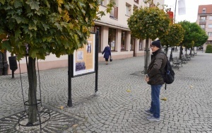 Wystawa plenerowa "Tak powstawała Niepodległa" (3)