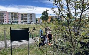 Europejska Noc Muzeów 2024 (2)