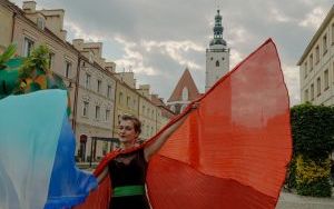 Dni Oleśnicy 2025 (2)