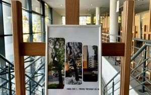 I miejsce: Elżbieta Kaznowska - ,,Widok z mojego okna przez 38 lat"