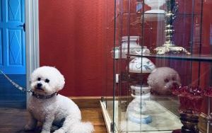 Oprowadzenie kuratorskie po wystawie lamp naftowych z kolekcji Adama Jarzymowskiego &bdquo;Coraz więcej światła&rdquo; (5)