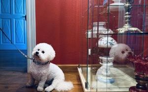 Oprowadzenie kuratorskie po wystawie lamp naftowych z kolekcji Adama Jarzymowskiego &bdquo;Coraz więcej światła&rdquo; (1)