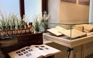 Wernisaż wystawy &bdquo;Historia Dentystyki w pigułce&rdquo; (7)